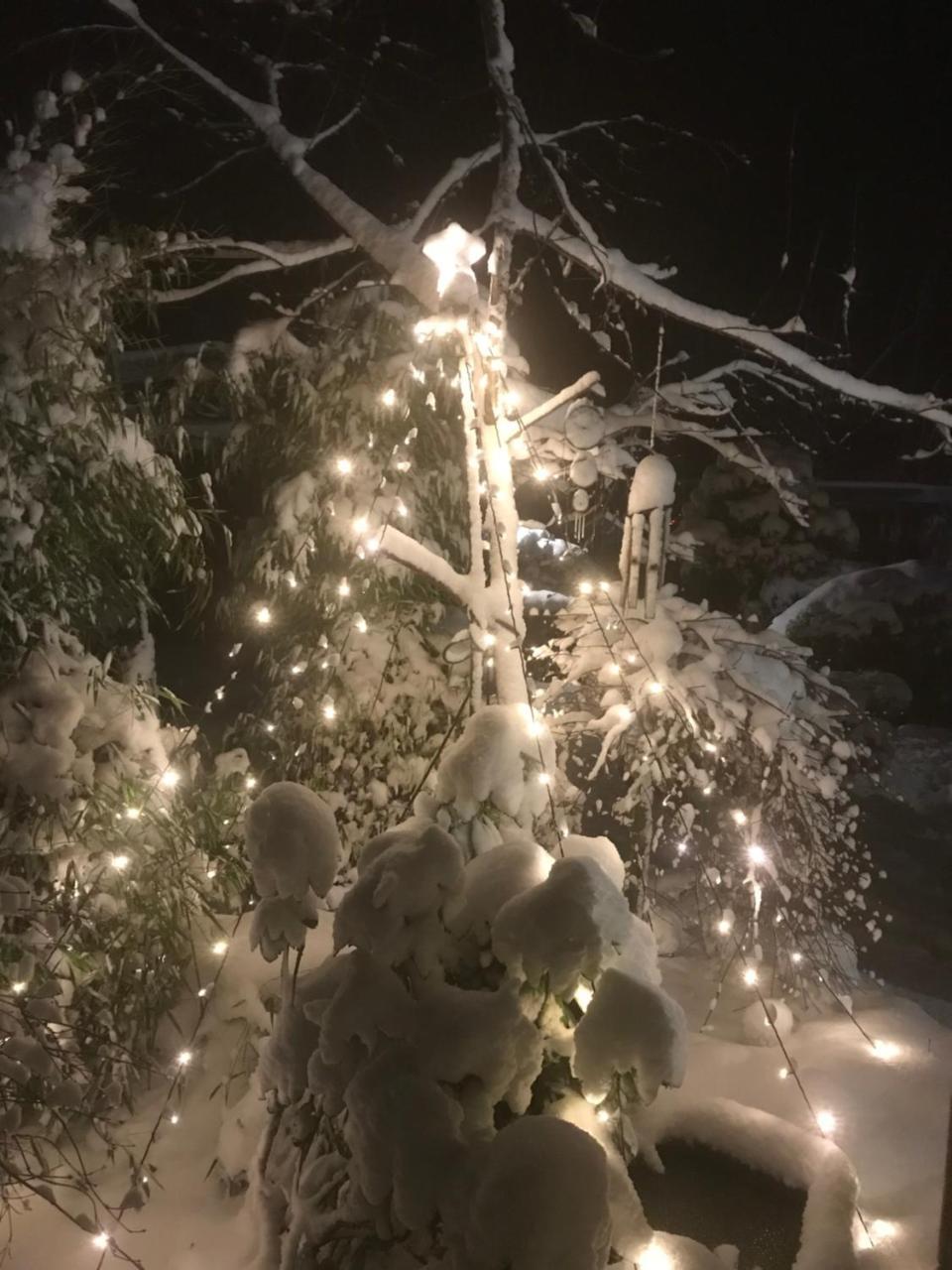 Eberl'S Zirbenlodge Ginzling Bagian luar foto
