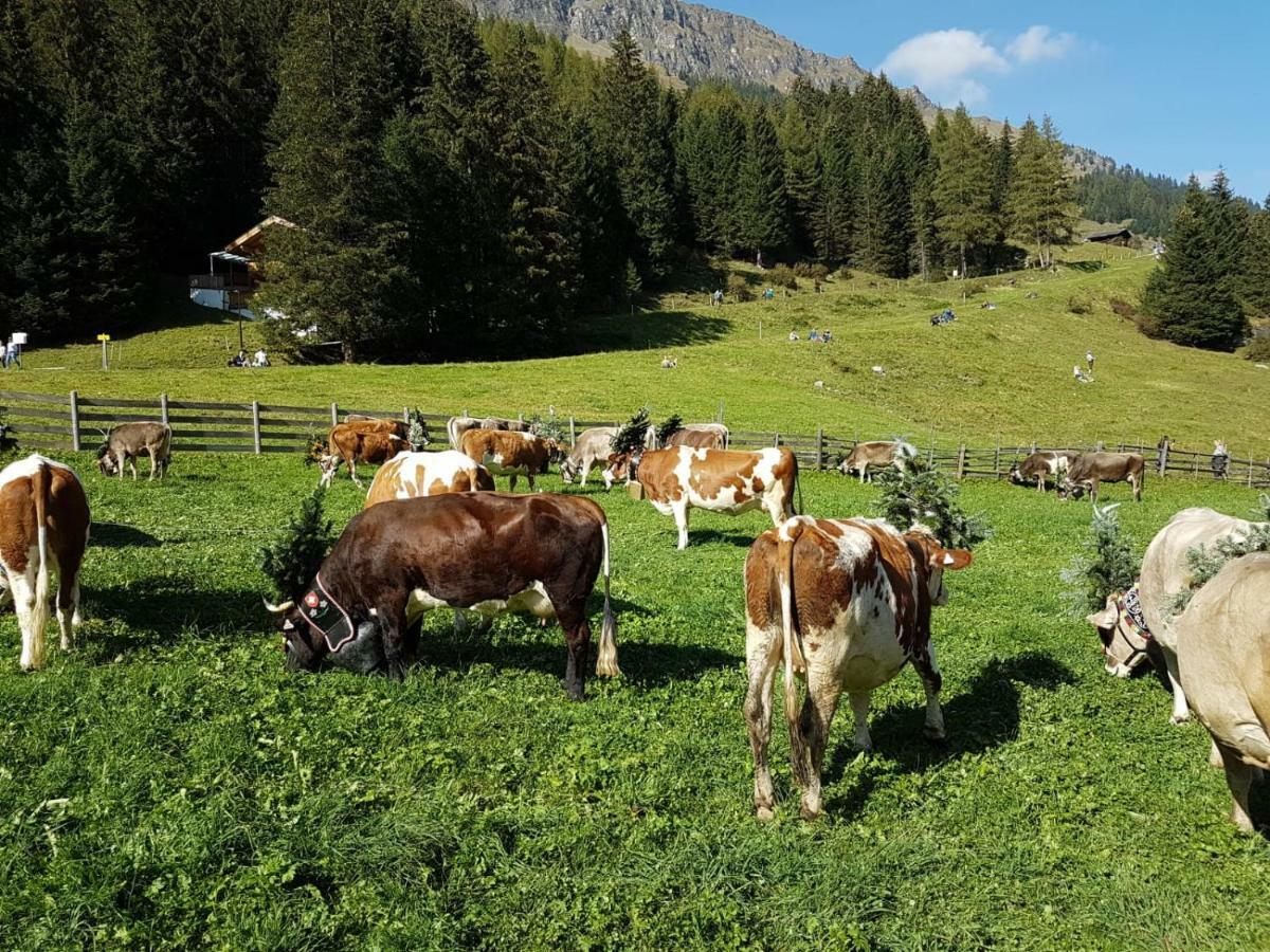 Eberl'S Zirbenlodge Ginzling Bagian luar foto