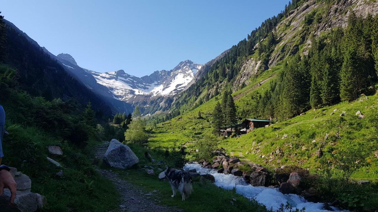 Eberl'S Zirbenlodge Ginzling Bagian luar foto