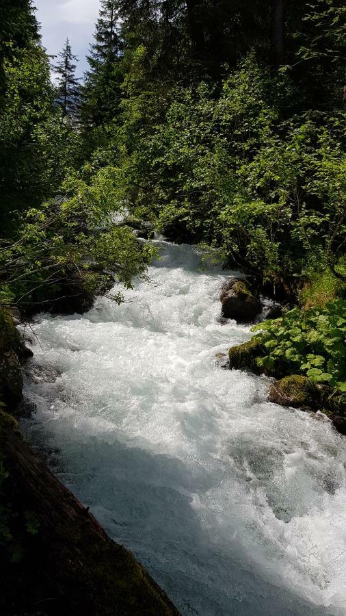 Eberl'S Zirbenlodge Ginzling Bagian luar foto