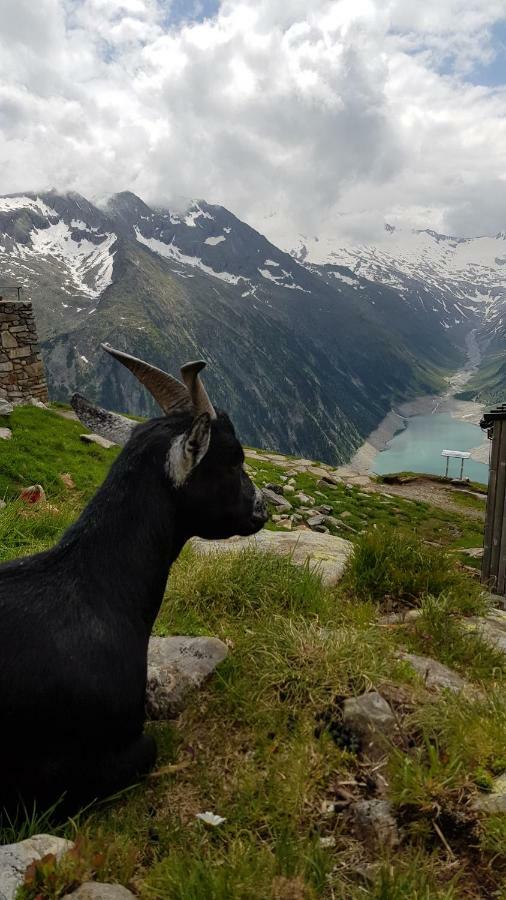 Eberl'S Zirbenlodge Ginzling Bagian luar foto