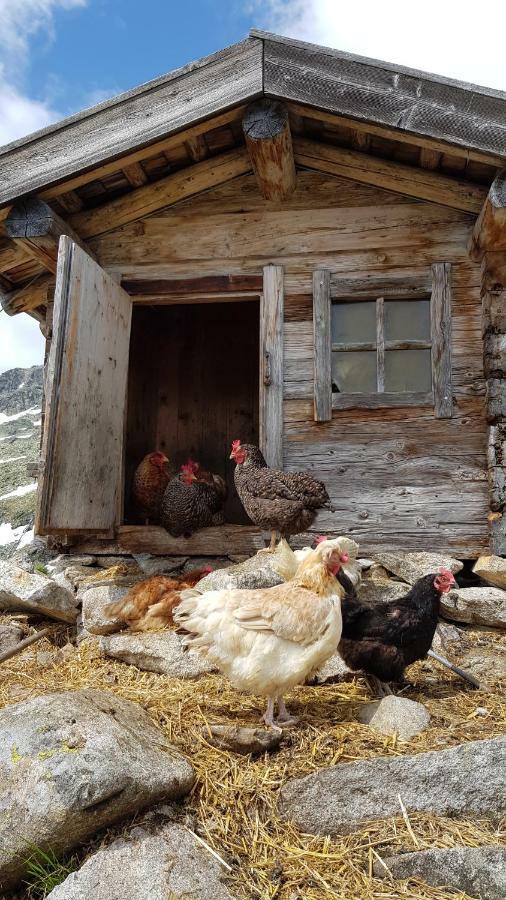 Eberl'S Zirbenlodge Ginzling Bagian luar foto