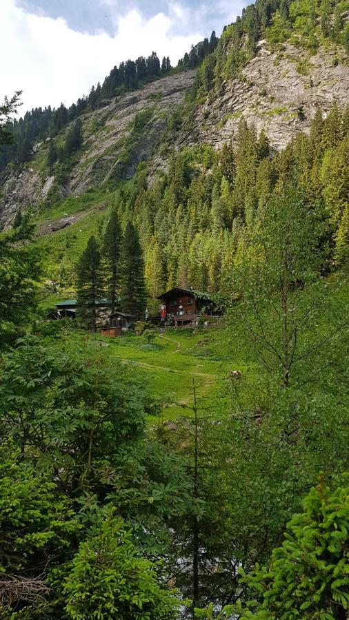 Eberl'S Zirbenlodge Ginzling Bagian luar foto