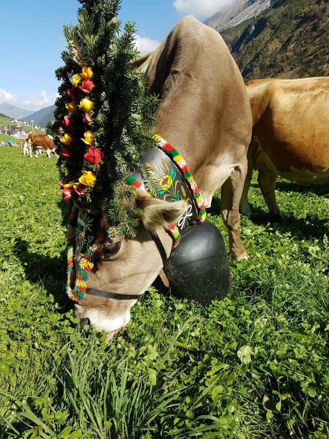 Eberl'S Zirbenlodge Ginzling Bagian luar foto