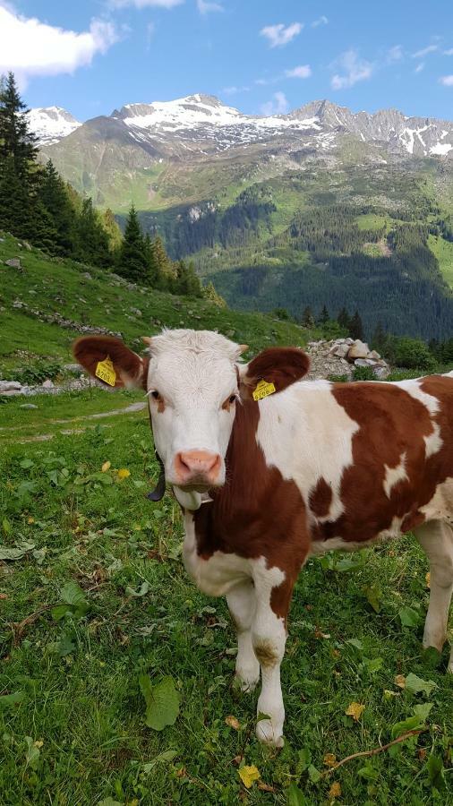 Eberl'S Zirbenlodge Ginzling Bagian luar foto